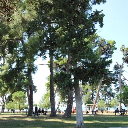 Gianna N2, 600 M From The Novigrad (Istria)