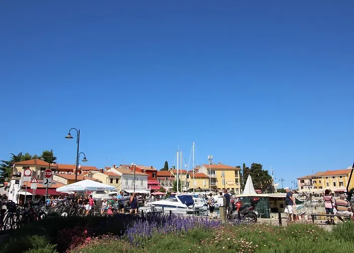 Διαμέρισμα Gianna N2, 600 M From The Novigrad Istria