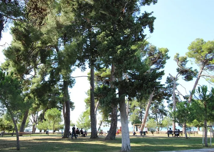 Gianna N2, 600 M From The Novigrad Istria