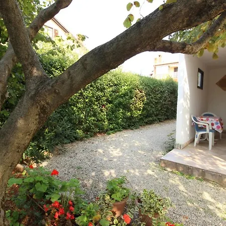 Gianna N2, 600 M From The